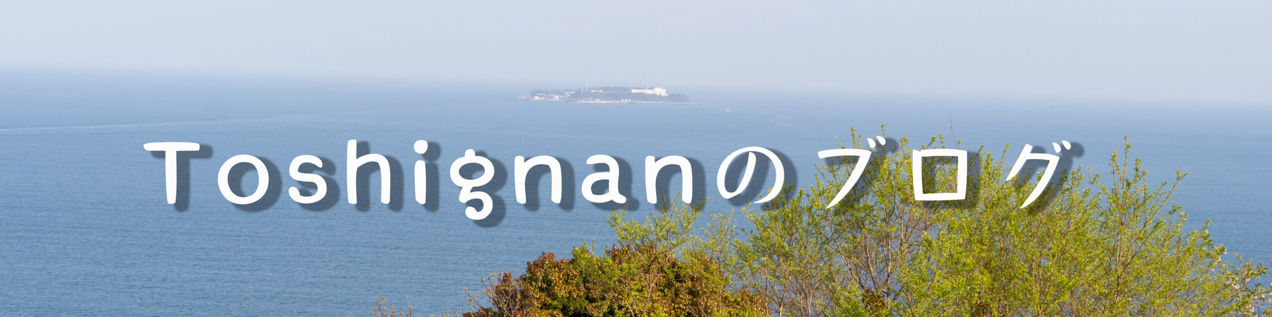 トシニャンブログ